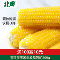 Beitian Northeast Gongzhuling fresh yellow waxy sweet corn fresh waxy corn cob non-GMO 8*200g