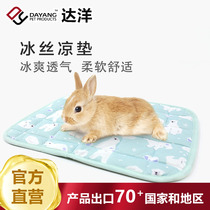 Dayang Direct Rabbit with small pet ice cushion cooling rabbit Dragon Guide ice cushion water washable