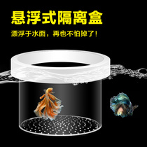 Floating isolation box suspended acrylic fish tank fish fry incubator box breeding box gold wave shaped peacock three lakes