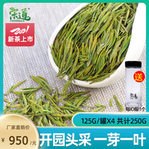 Song Daotou Pai Authentic Anji White Tea 2021 New Tea Pre-Ming Premium Bulk Green Tea 500g Canned