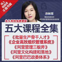 2021 Xu Linfang Managers Compulsory Course Enterprise Efficient Organization and Management Xu Linfang Video Course Complete Collection