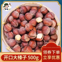 Northeast specialty big hazelnut 500g thin skin original opening big hazelnut kernel new Tieling nut fried snacks