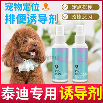 Teddy special guide for puppies dog-inducing agents dog bowels to become dog anti-mess training midsize dog defecation