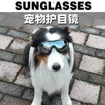 Dog glasses goggles dog sunglasses windproof golden hair Teddy Koji photo props special pet sunglasses