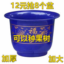 Large number special price clear cabin thickened plastic flower pot imitation ceramic planting fruit tree monthly flower green flower and flower pot delivery tray