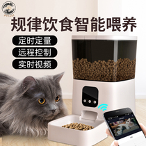 Large capacity automatic feeder Cat timing quantitative Intelligent pet cat food feeding machine Remote automatic feeder dog