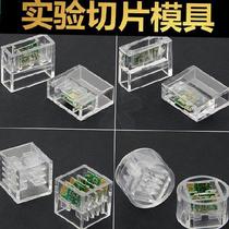 Soft? Acrylic cylinder silicone mold laboratory pcb crystal glue disposable cold inlay mold Cup
