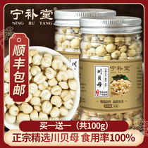 Buy 1 get 1 free SF sulfur-free Sichuan origin Chuanbei mother 50g Chuanbei powder Chinese Herbal medicine Songbei non-wild premium grade