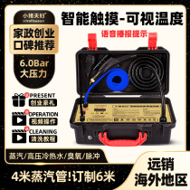 Small Pig Couple High Temperature High Pressure Steam Cleaner Commercial Home Appliances Piping Pulse Cleaning Integrated Air Conditioning Hood