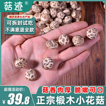 Mushroom block Fangxian small flower mushroom 250g Hubei agricultural specialty Shennongjia non wild basswood Mushroom mushroom dried goods