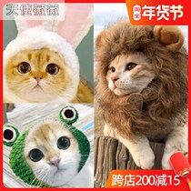Pet cat Rabbit ears Lion head cover Rabbit cat Cat hat Cute Birthday Christmas headdress dress up