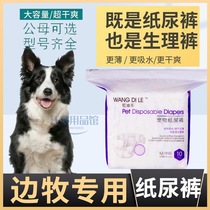 Side Pastoral Special Security Period Fake Dogs Paper Pee Pants Male Dog Urine not wet sanitary pants Aunt Tampa Napkins