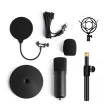 192KHz 24Bit high sampling rate BM-700USB computer live recording game voice microphone set