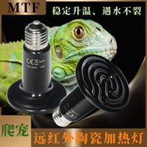 Crawling reptile ceramic heating lamp land turtle box lizard parrot turtle snake hedgehog feeding box only heat but not luminous