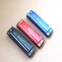 DF-10 Color BEE card 10 holes Children plastic toy harmonica beginners practice harmonica