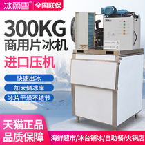 Bingli snow ice machine Commercial 200kg flake large scale ice machine 300KG 500kg flake ice machine