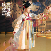 Hanting Fang Girl Hanfu Spring and Autumn Long Sleeve Female Treasure Chinese Style Dress Super Fairy Tang New Blue Shawl