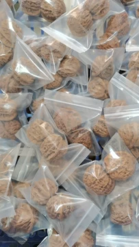 文玩堂：虎頭王 文玩核桃 虎头核桃-虎头核桃促销