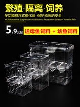 Fish tank isolation box Guppy breeding and incubation box Tropical fish juveniles special size isolation box incubation and spawning room