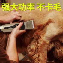 Dog Kitty Shave Hair Dresser Pushers Pet Store Teddy Gold Gross Professional Hairdresser Pedicure Fur Electric Push Shearer
