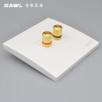 Type 86 double-head surround stereo speaker panel audio and video multimedia one audio speaker speaker wall socket