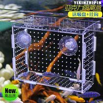 Fish tank hatching isolation box delivery room safety shrimp ornamental shrimp goldfish set multifunctional floating ovipositor small