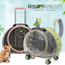 New PC Pet Pull Lever Case Transparent Cat Bag Airbox Pooch Out Pets Double Shoulder Bag Portable Bubble box