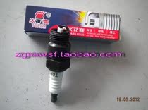 Dongfeng Fengxingzhi Parts Spark Plug Torch Brand Dongfeng EQ491 Engine Fengling Special