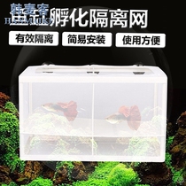 Fish tank Aquarium incubator Small fish isolation box net Tropical fish breeding box production box Incubation fish tank breeding box fish net