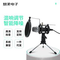 铝制私模迷你电容麦克风USB电脑录音清晰网红直播k歌游戏桌面话筒
