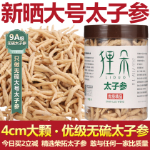 (Large Radix Pseudostellariae) Radix Pseudostellariae Chinese Medicinal Material 250g