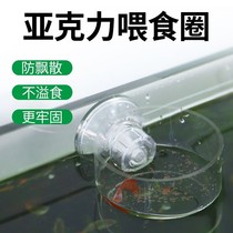 Fish tank acrylic feeder fixed transparent fish feeder anti-overflow anti-floating small fish round feeding ring