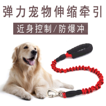 Dog explosion-proof punching rope elastic walking dog rope in large canine telescopic buffer gold wool Labrador dog chain