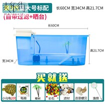 China deepwater turtle fish tank mixed fish tank mixed health state tank Turtle fish tank dual-use large-scale special NTU feeding sun