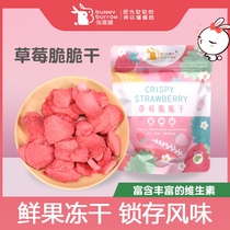 bunny burrow high quality strawberry freeze-dried supplementary nutrition rabbit ChinChin guinea pig hamster food