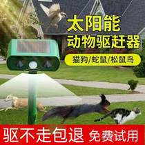  Ultrasonic solar drive cat and dog drive bird and mouse drive artifact Indoor high-effect bat weasel animal drive device