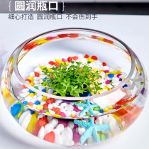 Thickened transparent glass small fish tank turtle tank living room household desktop round office mini small goldfish tank