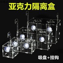 Aquarium isolation box Fish tank separator box Acrylic incubation box breeding box Small fry isolation box