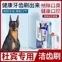 Dubin special pooch toothbrush toothpaste suit edible with mouth-smells pet supplies Oral cleaning of dentistry