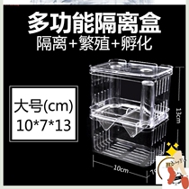 Acrylic fish tank filter box pneumatic double grid double hole breeding hotel dismantling large aquarium larva transparent middle