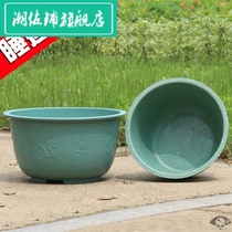 Hydroponic flower pot non-porous large dragon pot pot extra-large water lily bowl lotus Lotus special plastic basin