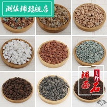 Fleshy paving soil volcanic stone wheat rice stone Jade iridescent fleshy meaty granular soil peat soil paving decoration