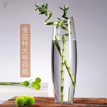 Lily Flowers Special Vase High Section Bamboo Fugui Bamboo Kuanyin Bamboo High Vase Flower Flower Flower Arrangement Long Branches Wide Mouth Glass Water Raising