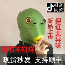 Fish head monster mask net red with green fish head cover Halloween mask funny sand sculpture fish head monster