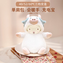 Handsome treasure rechargeable warm baby cute plush portable student small carry two in one winter mini explosion proof