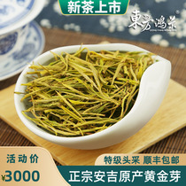 Golden Bud Anji White Tea 2021 New Tea Mingxen Bud Zhejiang Huzhou Green Tea Spot Tea Canned 500g