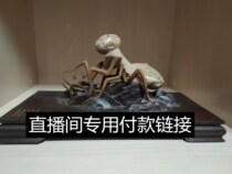 Xinjiang Gobi stone opal Gobi jade wood fossil root art meat stone Fengling Stone Taihu Stone Melaleuca stone ornaments