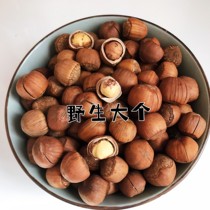 Hazelnut 2021 Northeast specialty Tieling Kaiyuan original roasted roasted nuts big fresh hazelnut Shunfeng