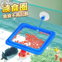Feeder feeding ring anti-floating tropical guppy fish feeding ring aquarium fish food feeding tube feeding tube