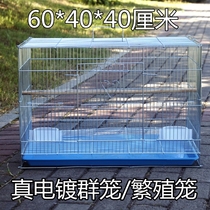 Bold weighted galvanized bird cage Parrot tiger skin Xuanfeng breeding cage Thrush starling electroplated metal bird